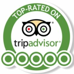 5-years-of-5-star-certificates